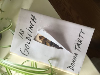 goldfinch book review guardian